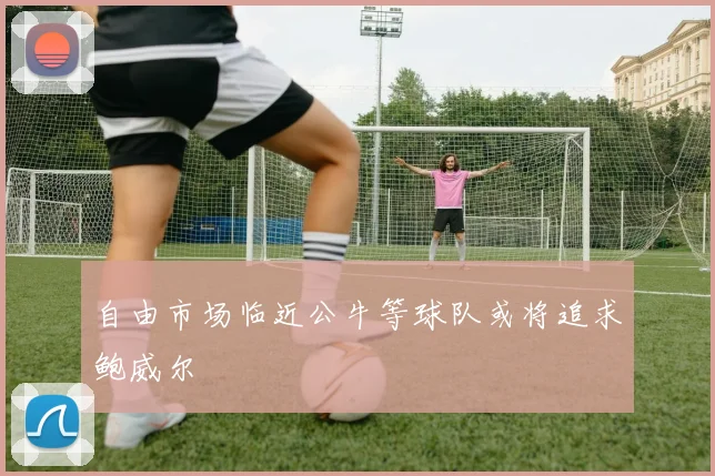 自由市场临近公牛等球队或将追求鲍威尔