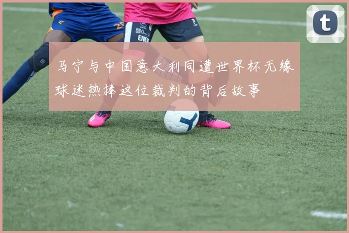 马宁与中国意大利同遭世界杯无缘球迷热捧这位裁判的背后故事